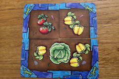 beet6