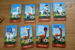 alpaka6