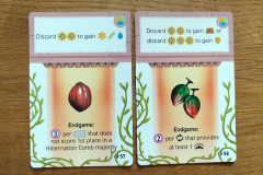 apiary_erw10