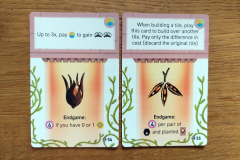 apiary_erw11
