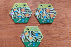 apiary_erw2