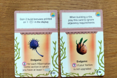 apiary_erw9