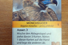 arche11