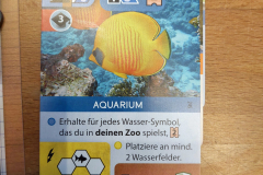 arche20