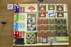 bamboo7