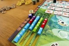 bamboo8