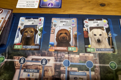 bark10