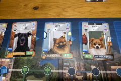 bark6