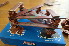 beaver7