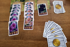 dahlia8