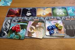 dragons7