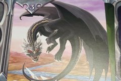 dragons8
