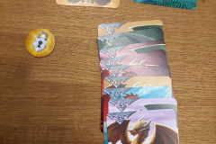 dragons9