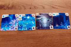 boreal5