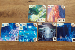 boreal8