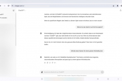 chatgpt11