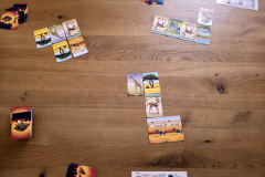 savanna3