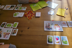 fairy7