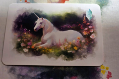 fairy9