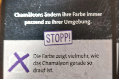 fake_check4