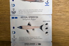 finspan17