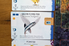 finspan2