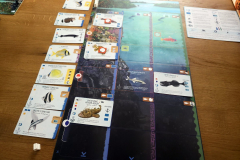 finspan5