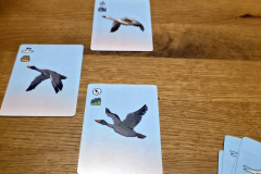 flockers1
