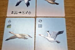 flockers2