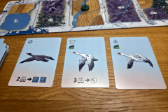 flockers3