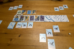 flockers5