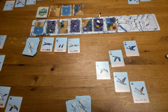 flockers6