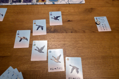 flockers8