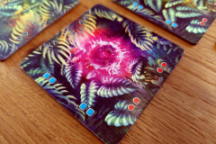 forbidden4