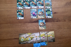 froschreich6