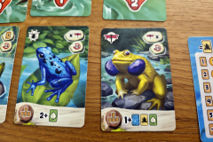 froschreich8