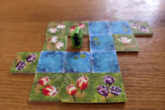 blooms4