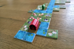 blooms5