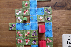 blooms9