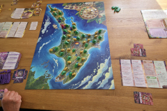 kauri1