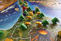 kauri5