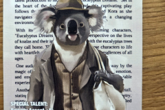 koalas6