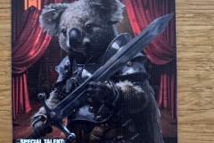 koalas9