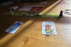 lemming6