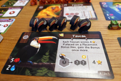 amazonia4