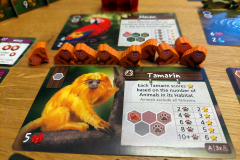 amazonia5
