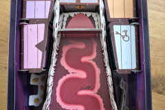 molly9
