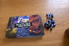 nature24
