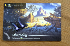 nature25