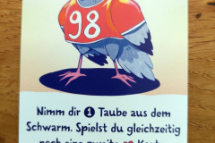 pigeons5